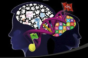 Two silhouette heads with puzzle piece and dna symbology filling in their brains